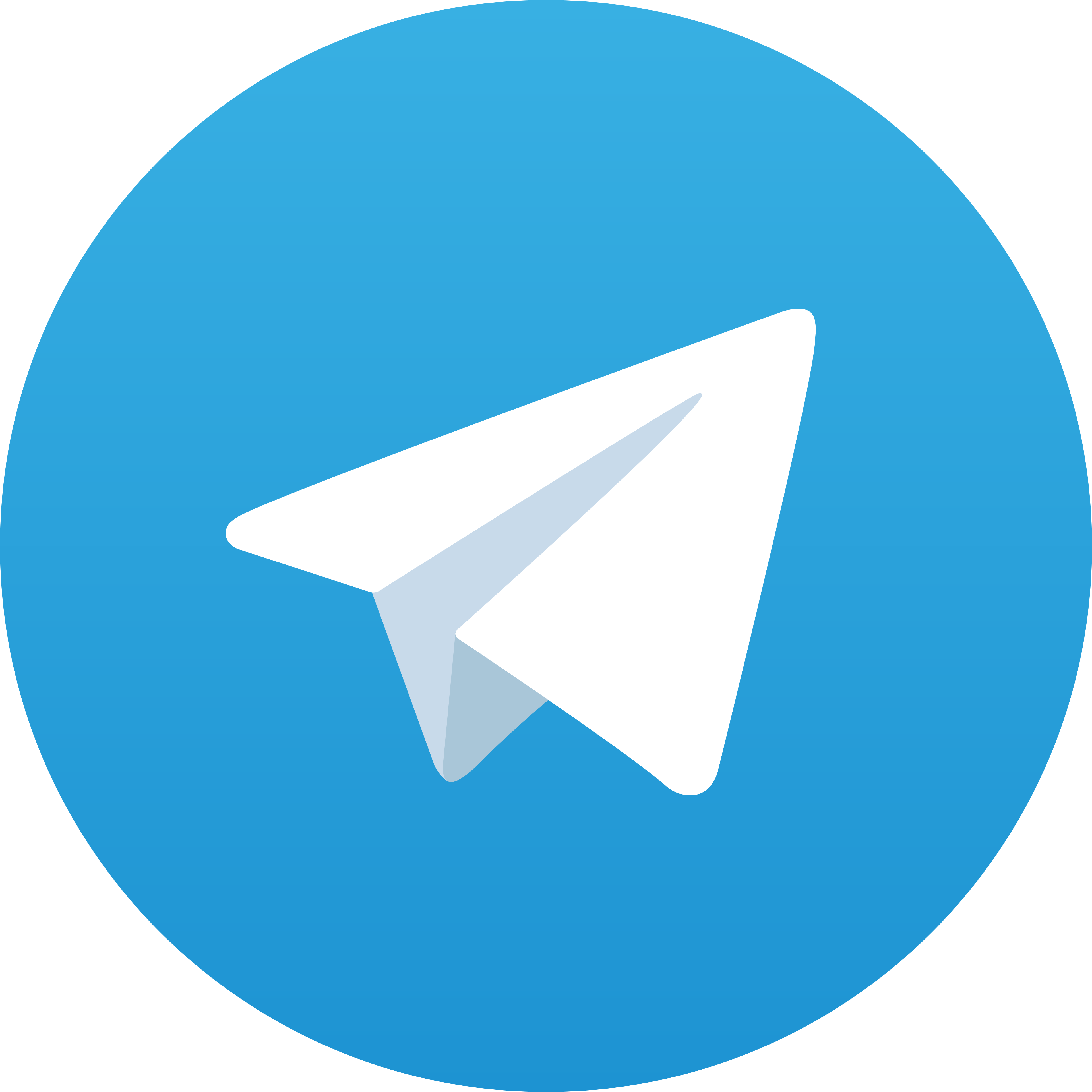 Telegram Bbk88